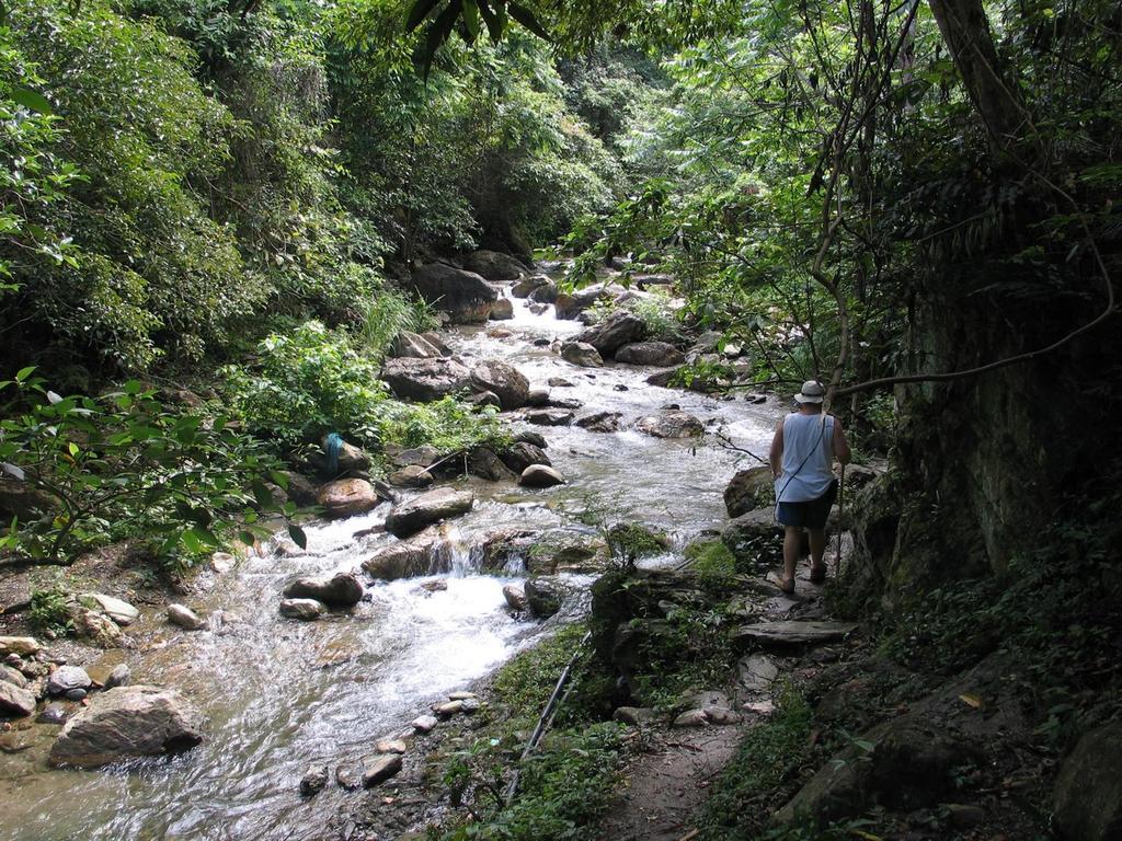 Tribal Hills Mountain Resort Puerto Galera Exteriör bild